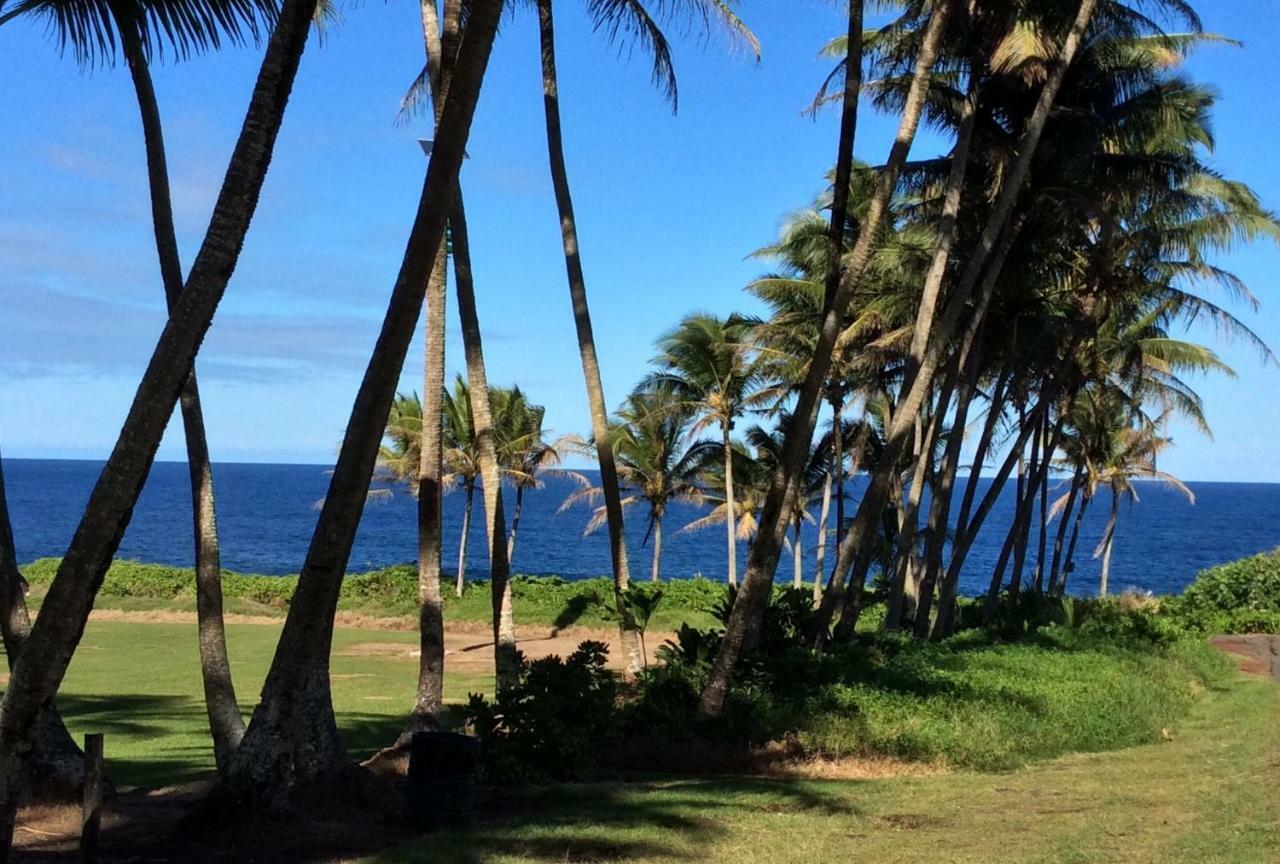 Honolulu Landing Mediteranean Style Ohana Rental / Loft & Sundeck Panoramic Ocean View מראה חיצוני תמונה