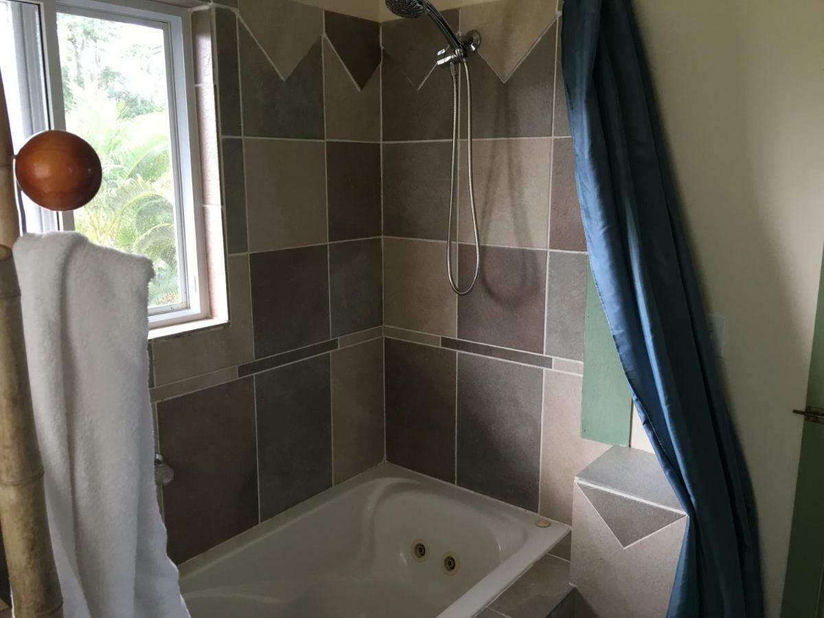 Honolulu Landing Mediteranean Style Ohana Rental / Loft & Sundeck Panoramic Ocean View מראה חיצוני תמונה